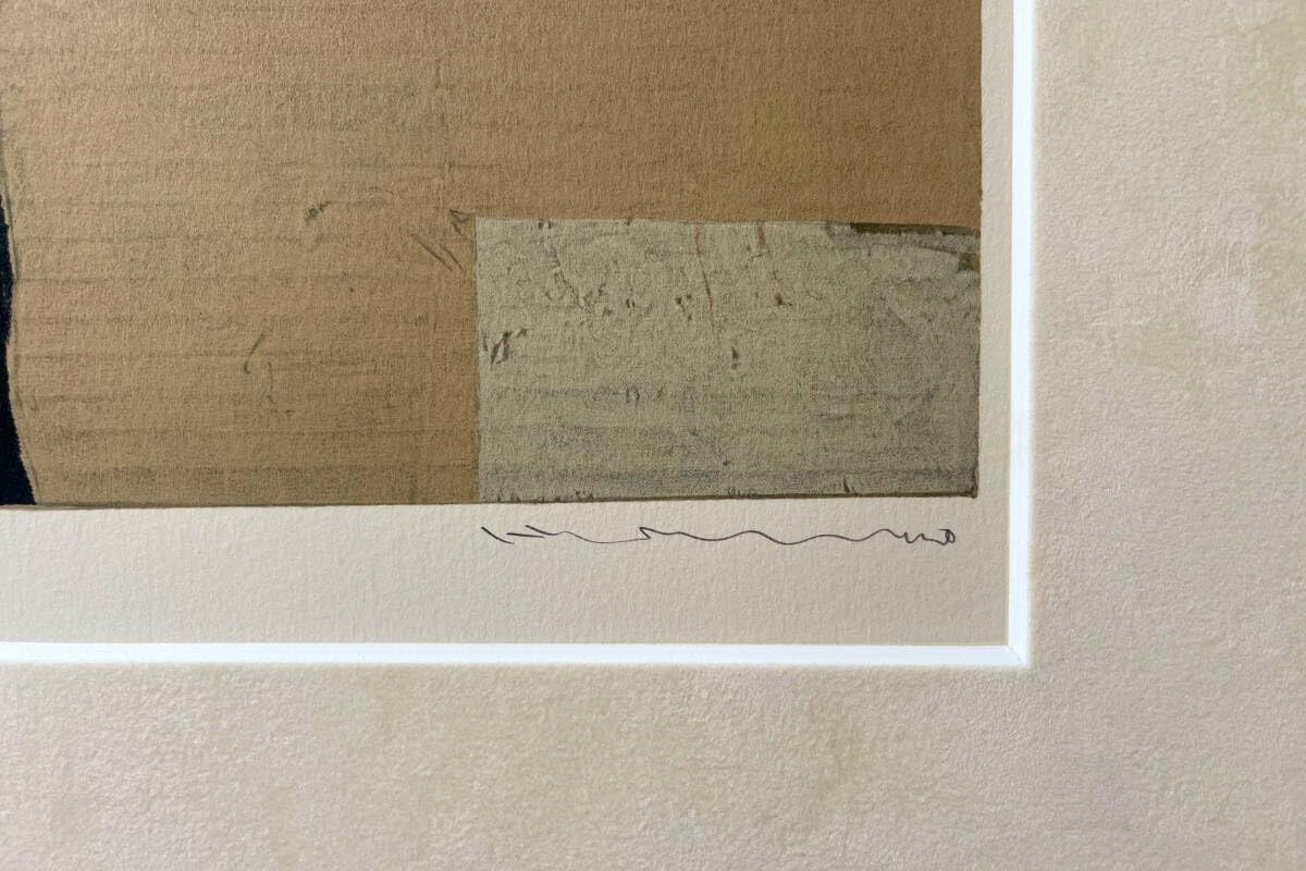 Amazon.co.jp: 『日比野克彦』“AIRPLANE CRAZY” リトグラフ 直筆